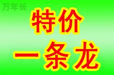 江夏湖北省武汉市江夏区公墓一览表及墓地价格 
